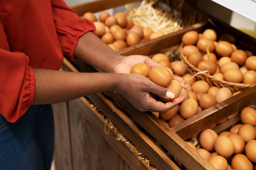 Egg Production